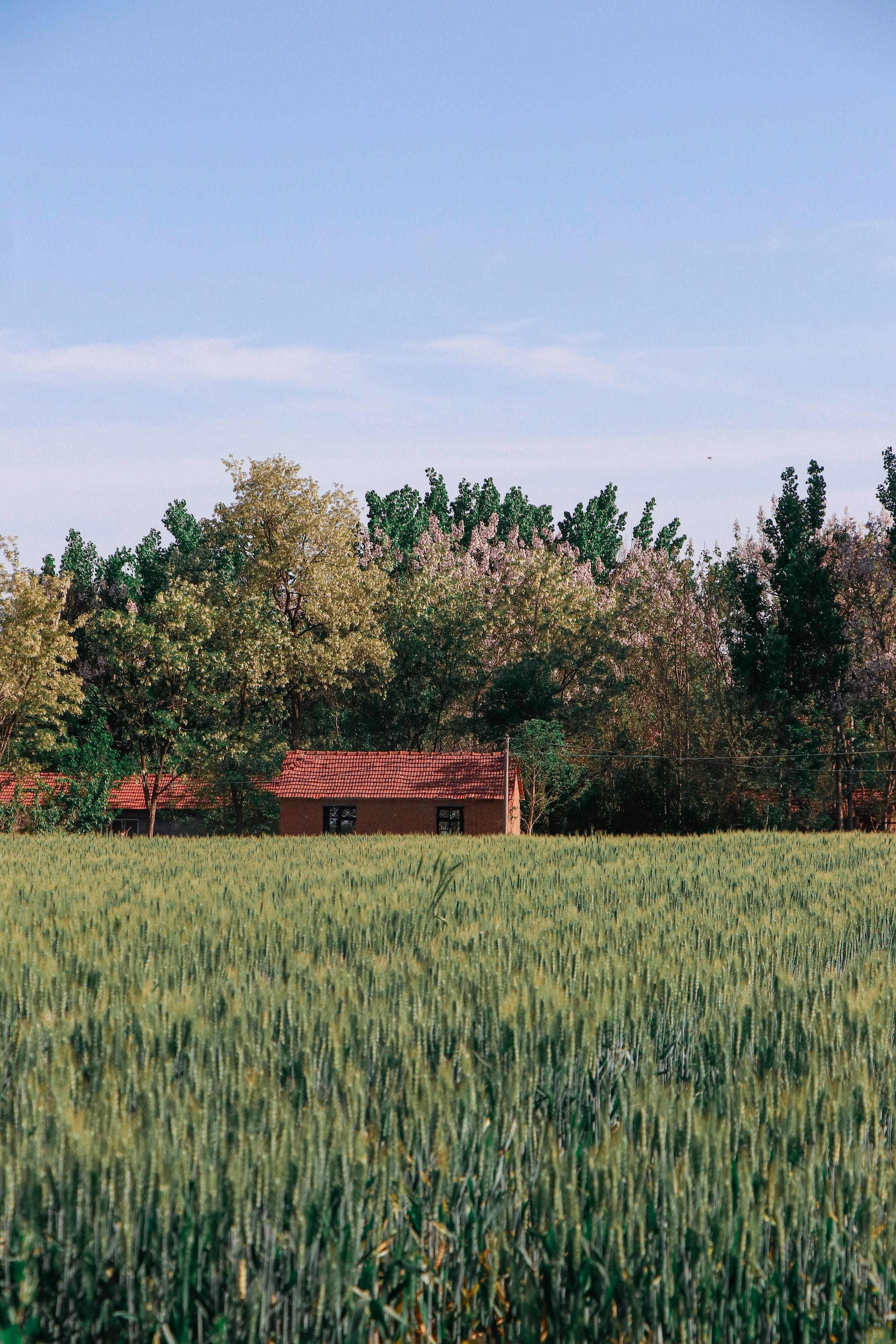 A country estate surrounded by open farmland