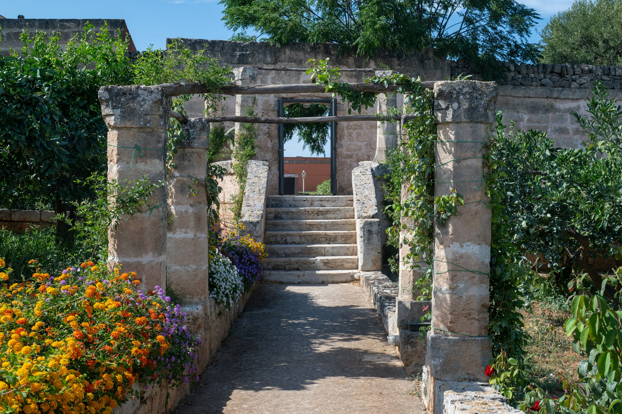 A representative masseria hotel among Puglian olive groves